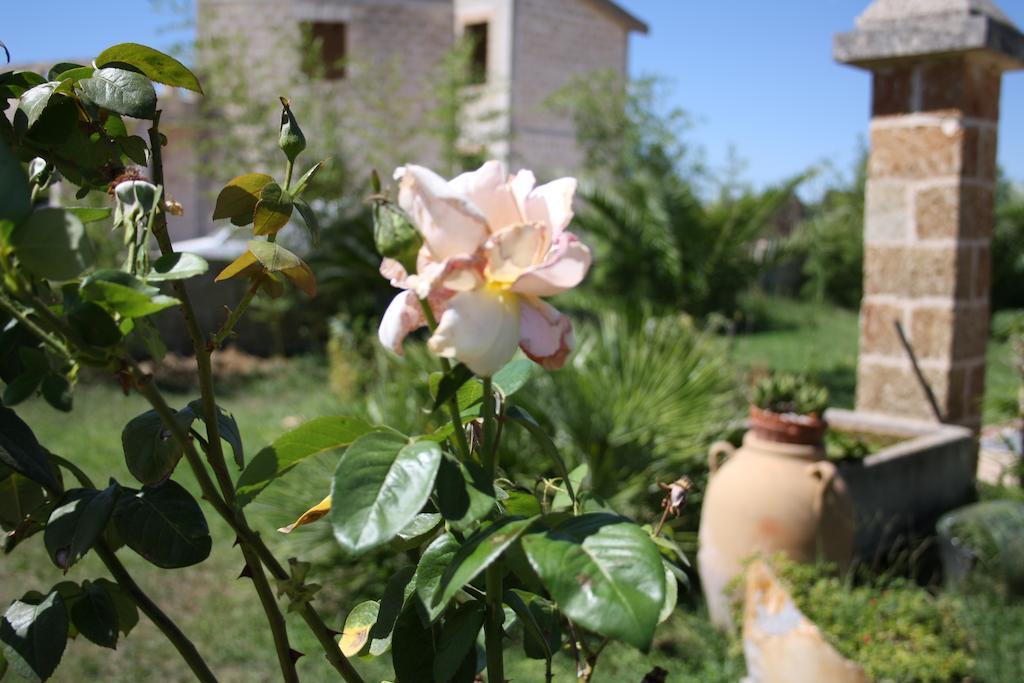 Padula Sogliano Cavour